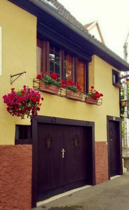 Chez Mamema, Maison Alsacienne Route Des Vins Kintzheim Ngoại thất bức ảnh